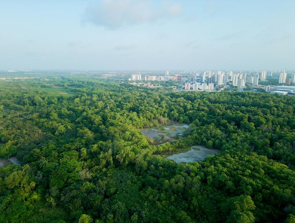 Edition tawbah : une maison d'édition engagée dans la diffusion des livres islamiques